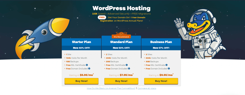 Hostgator wordpressr Best Hosting For Niche Site