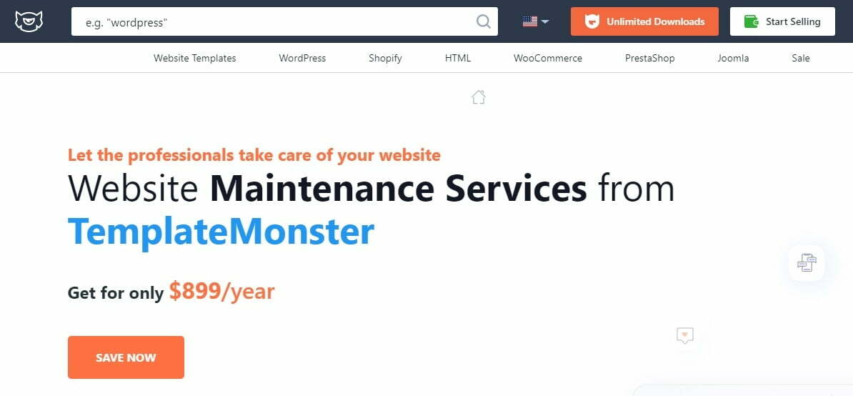 Website Maintenance Service from TemplateMonster