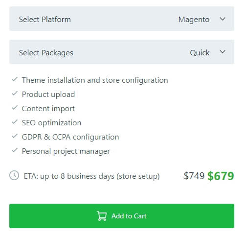 All-in-ONe-Store-Setup-Pricing-Template-Monster-Services