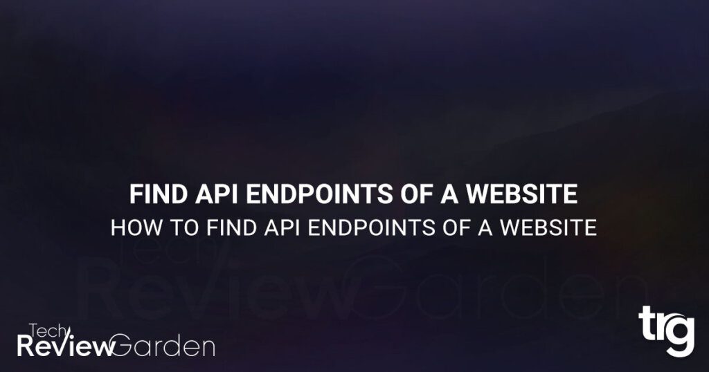 How To Find API Endpoints Of A Website | TechReviewGarden
